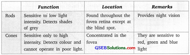 GSEB Solutions Class 10 Science Chapter 11 Human Eye and Colourful World