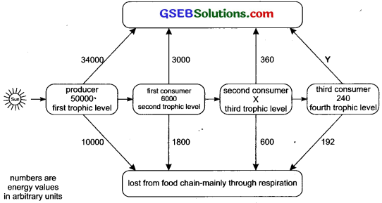 GSEB Solutions Class 10 Science Chapter 15 Our Environment