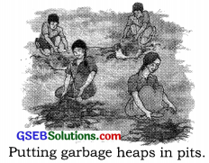 GSEB Solutions Class 6 Science Chapter 16 Garbage In, Garbage Out