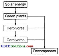 GSEB Solutions Class 7 Science Chapter Chapter 1 Nutrition in Plants