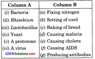 GSEB Solutions Class 8 Science Chapter 2 Microorganisms Friend and Foe