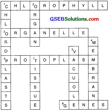 GSEB Solutions Class 8 Science Chapter 8 Cell Structure and Functions