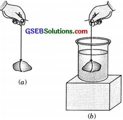GSEB Solutions Class 9 Science Chapter 10 Gravitation