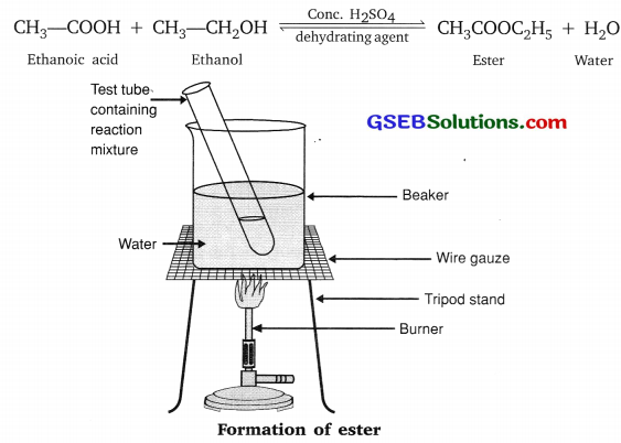 GSEB Solutions Class 10 Science Chapter 4 Carbon and Its Compounds