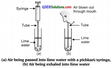 GSEB Solutions Class 10 Science Chapter 6 Life Processes