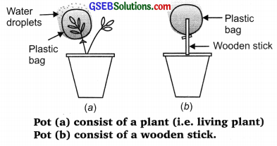 GSEB Solutions Class 10 Science Chapter 6 Life Processes