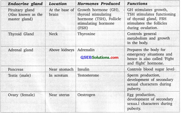 GSEB Solutions Class 10 Science Chapter 7 Control and Coordination