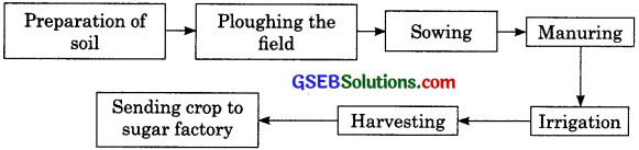 GSEB Solutions Class 8 Science Chapter 1 Crop Production and Management