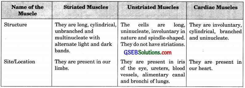 GSEB Solutions Class 9 Science Chapter 6 Tissues