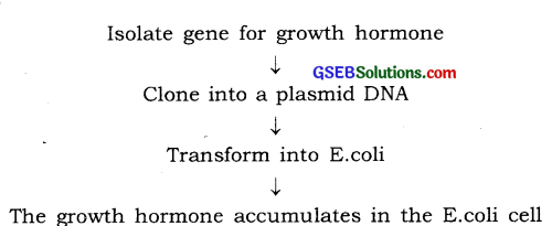 GSEB Solutions Class 12 Biology Chapter 12 Biotechnology and Its Applications 1