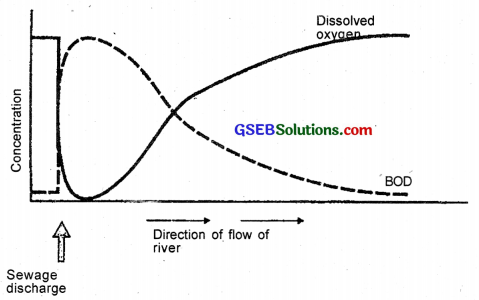 GSEB Solutions Class 12 Biology Chapter 16 Environmental Issues 4