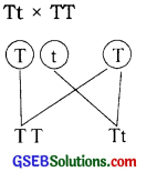 GSEB Solutions Class 12 Biology Chapter 5 Principles of Inheritance and Variation 10
