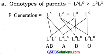 GSEB Solutions Class 12 Biology Chapter 5 Principles of Inheritance and Variation 12