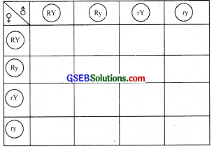 GSEB Solutions Class 12 Biology Chapter 5 Principles of Inheritance and Variation 14