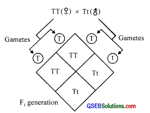 GSEB Solutions Class 12 Biology Chapter 5 Principles of Inheritance and Variation 6