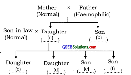 GSEB Solutions Class 12 Biology Chapter 5 Principles of Inheritance and Variation 9