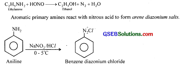 GSEB Solutions Class 12 Chemistry Chapter 13 Amines 39