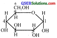 GSEB Solutions Class 12 Chemistry Chapter 14 Biomolecules 3