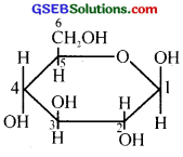 GSEB Solutions Class 12 Chemistry Chapter 14 Biomolecules 4