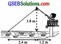 GSEB Solutions Class 10 Maths Chapter 6 Triangles Ex 6.6 img-10