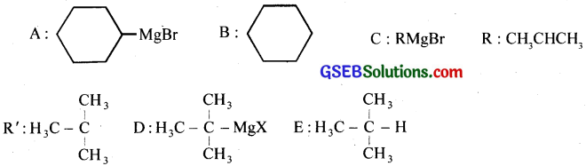 GSEB Solutions Class 12 Chemistry Chapter 10 Haloalkanes and Haloarenes 13