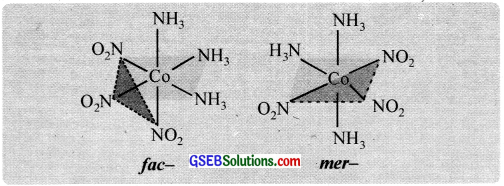 GSEB Solutions Class 12 Chemistry Chapter 9 Coordination Compounds img 19