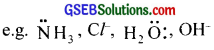 GSEB Solutions Class 12 Chemistry Chapter 9 Coordination Compounds img 46
