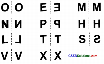GSEB Solutions Class 6 Maths Chapter 13 Symmetry Ex 13.3 img 13