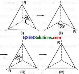 GSEB Solutions Class 7 Maths Chapter 14 Symmetry InText Questions 1