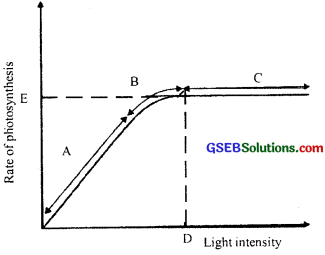 GSEB Solutions Class 11 Biology Chapter 13 Photosynthesis in Higher Plants img 2