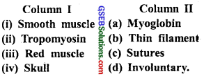 GSEB Solutions Class 11 Biology Chapter 20 Locomotion and Movement img 2