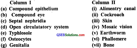 GSEB Solutions Class 11 Biology Chapter 7 Structural Organisation in Animals img 5