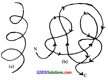 GSEB Solutions Class 11 Biology Chapter 9 Biomolecules img 2