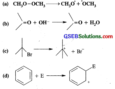 GSEB Solutions Class 11 Chemistry Chapter 12 Organic Chemistry Some Basic Principles and Techniques 17