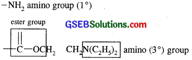 GSEB Solutions Class 11 Chemistry Chapter 12 Organic Chemistry Some Basic Principles and Techniques 7