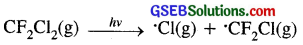 GSEB Solutions Class 11 Chemistry Chapter 14 Environmental Chemistry 4
