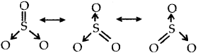 GSEB Solutions Class 11 Chemistry Chapter 4 Chemical Bonding and Molecular Structure img 21