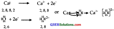 GSEB Solutions Class 11 Chemistry Chapter 4 Chemical Bonding and Molecular Structure img 25