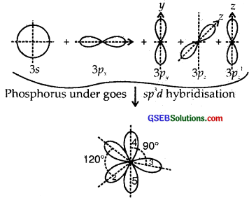 GSEB Solutions Class 11 Chemistry Chapter 4 Chemical Bonding and Molecular Structure img 50