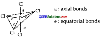GSEB Solutions Class 11 Chemistry Chapter 4 Chemical Bonding and Molecular Structure img 51