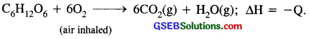 GSEB Solutions Class 11 Chemistry Chapter 9 Hydrogen 22