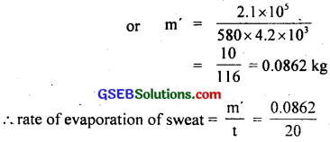 GSEB Solutions Class 11 Physics Chapter 11 Thermal Properties of Matter img 7