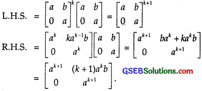 GSEB Solutions Class 12 Maths Chapter 3 Matrices Miscellaneous Exercise 2