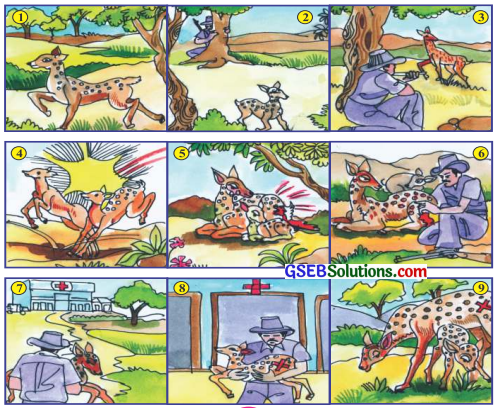 GSEB Solutions Class 6 Hindi Chapter 1 दयालु शिकारी 1
