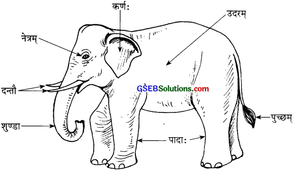 GSEB Solutions Class 6 Sanskrit पुनरावर्तनम् 2 Sem 1 5