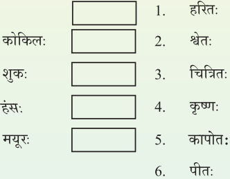 GSEB Solutions Class 7 Sanskrit Chapter 5 चटक! चटक! 1