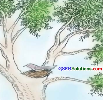 GSEB Solutions Class 7 Sanskrit Chapter 5 चटक! चटक! 8