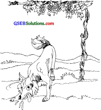 GSEB Solutions Class 7 Sanskrit Chapter 9 आम्लं द्राक्षाफलम् 16