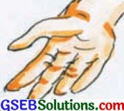 GSEB Solutions Class 8 Hindi Chapter 9 ममता 6