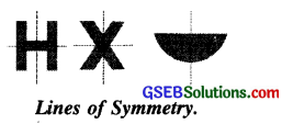 GSEB Class 6 Maths Notes Chapter 13 Symmetry 1